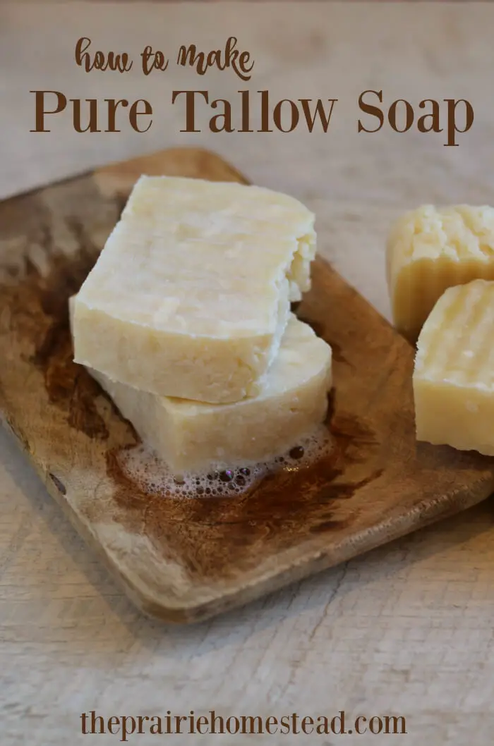 Make Homesteading TALLOW SOAP Recipe