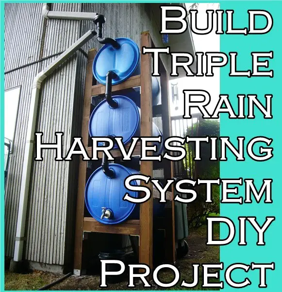 Build Triple Rain Harvesting System DIY Project