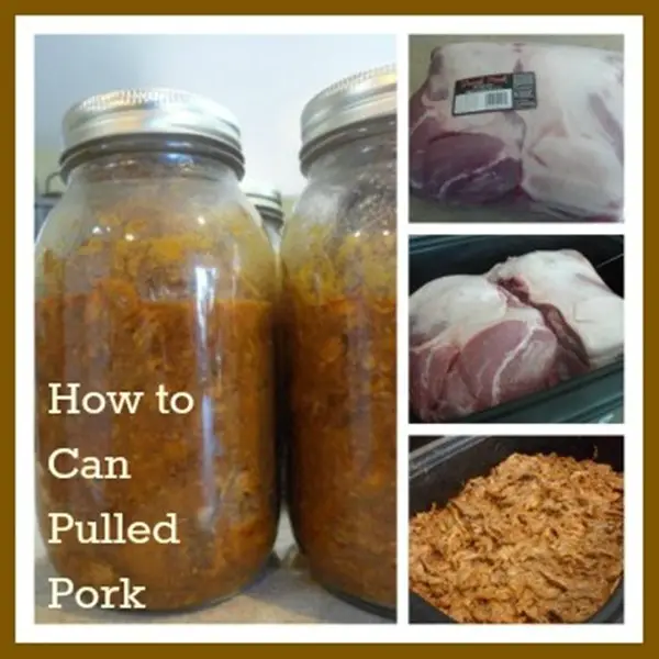 Canning Pulled Pork is Very Simple to Master