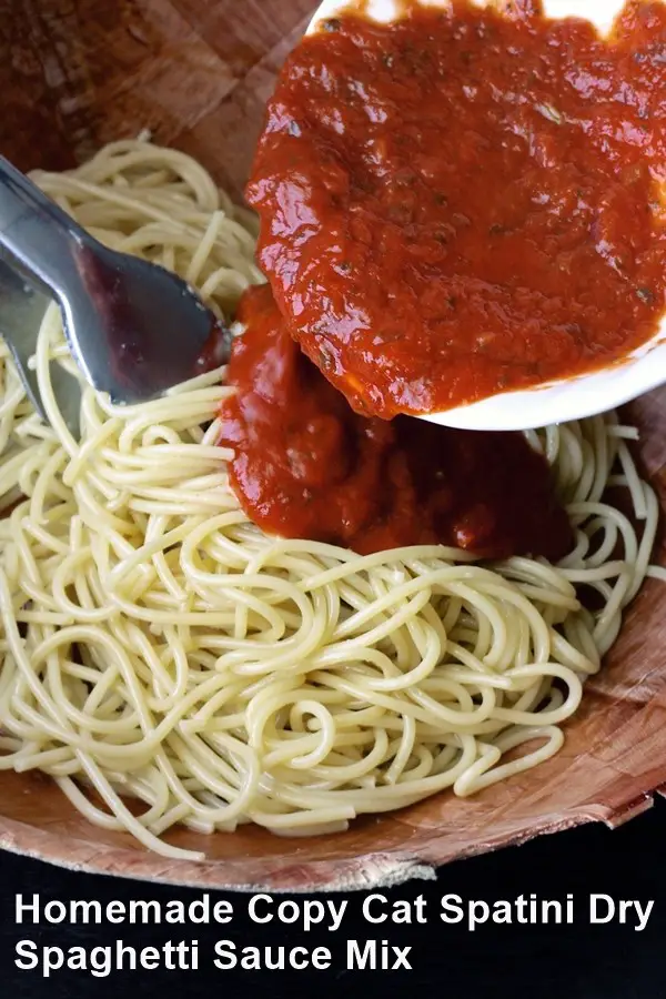 Homemade Copy Cat Spatini Dry Spaghetti Sauce Mix