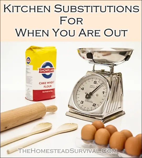 Kitchen Substitutions For When You Are Out