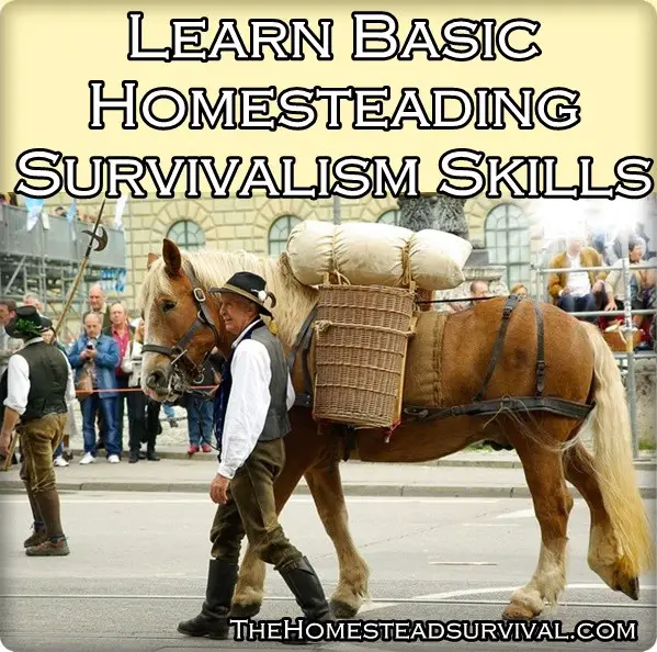 Learn Basic Homesteading Survivalism Skills