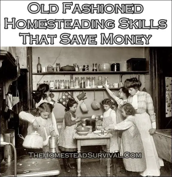 Old Fashioned Homesteading Skills That Save Money