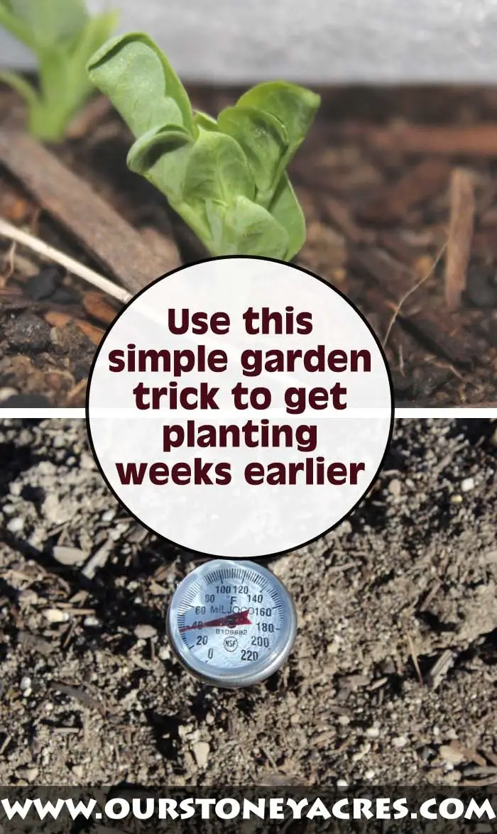 Start Planting Earlier by Creating Warm Soil