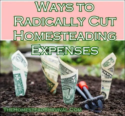 Ways to Radically Cut Homesteading Expenses