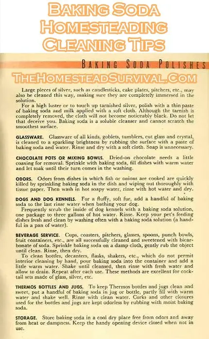 Baking Soda Homesteading Cleaning Tips 
