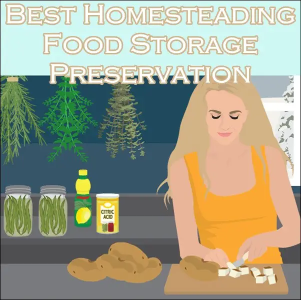 Best Homesteading Food Storage Preservation 