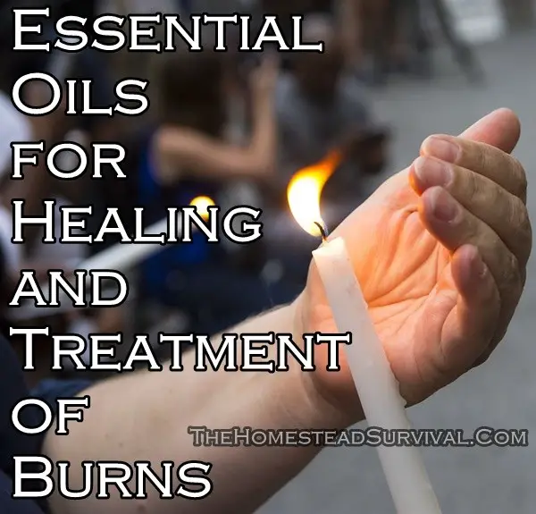Essential Oils for Healing and Treatment of Burns