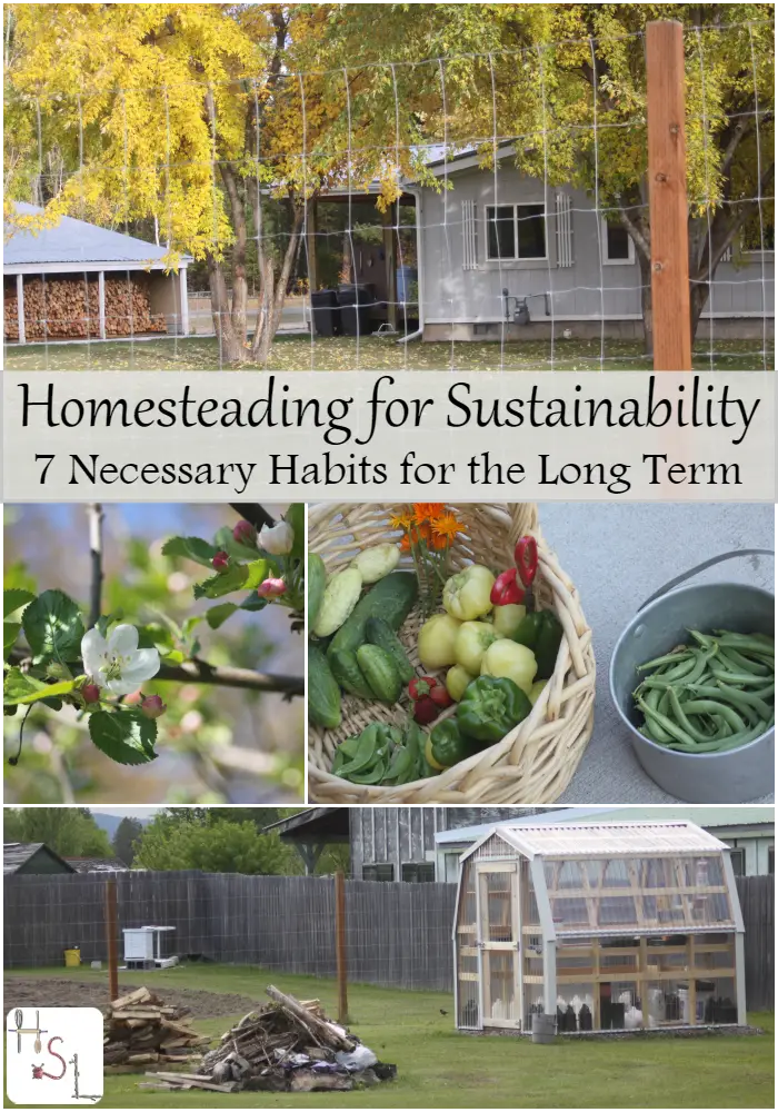 Homesteading for Long Term Sustainability 