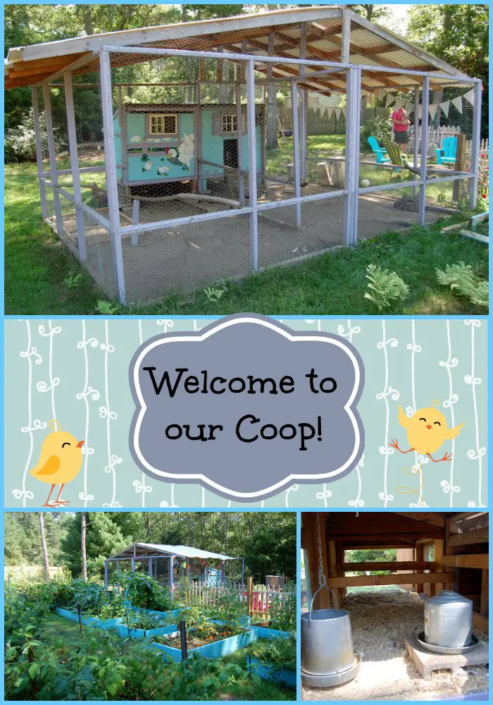 Take a Photo Tour of a DIY Chicken Coop