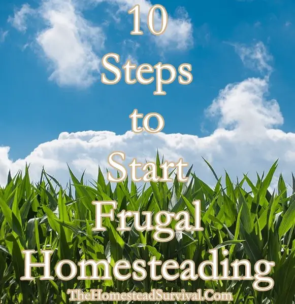 10 Steps to Start Frugal Homesteading 