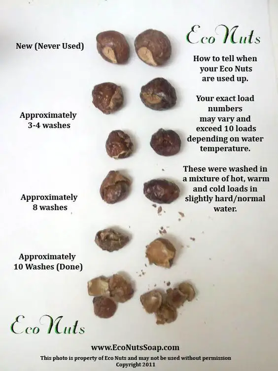 How to use SOAP NUTS In Laundry Clothes Washing