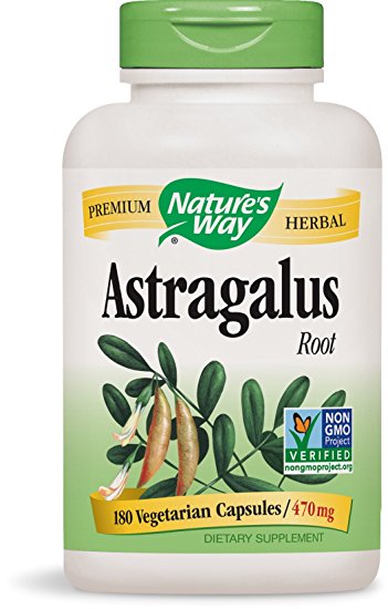 Astragalus Root for Hormone Balance and Immune Support