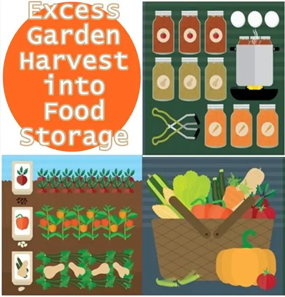 Excess Garden Harvest into Food Storage