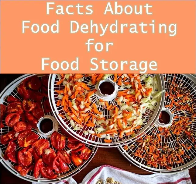 Facts About Food Dehydrating for Food Storage