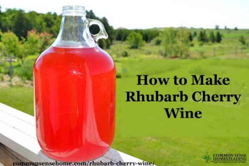 Homemade Cherry Rhubarb Wine