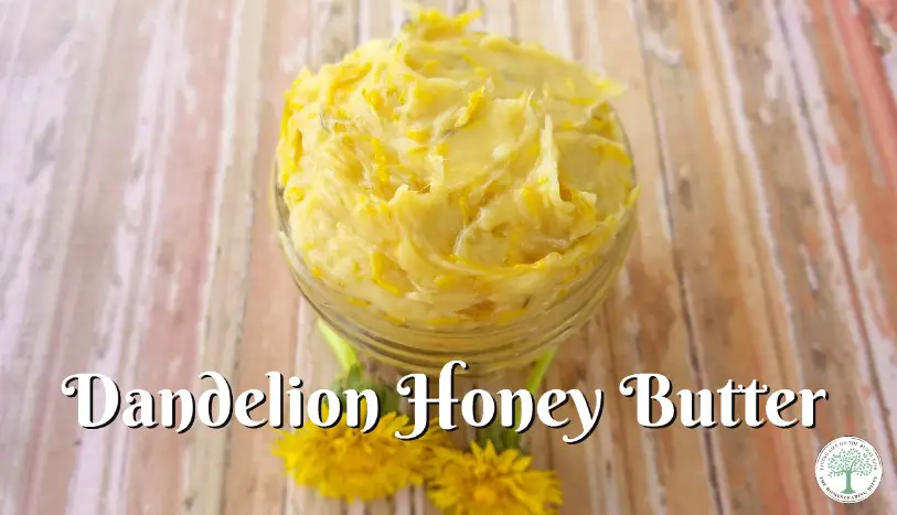 How to Make Dandelion Honey Butter