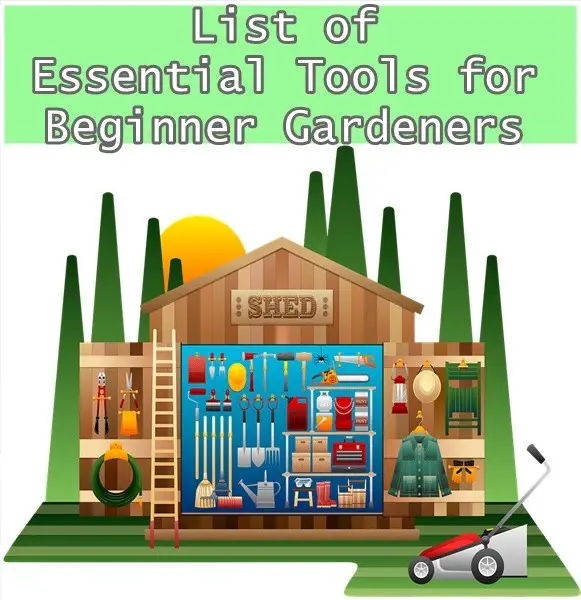 List of Essential Tools for Beginner Gardeners