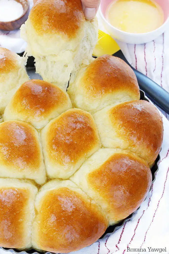 No Fail Yeast Rolls in a Half Hour