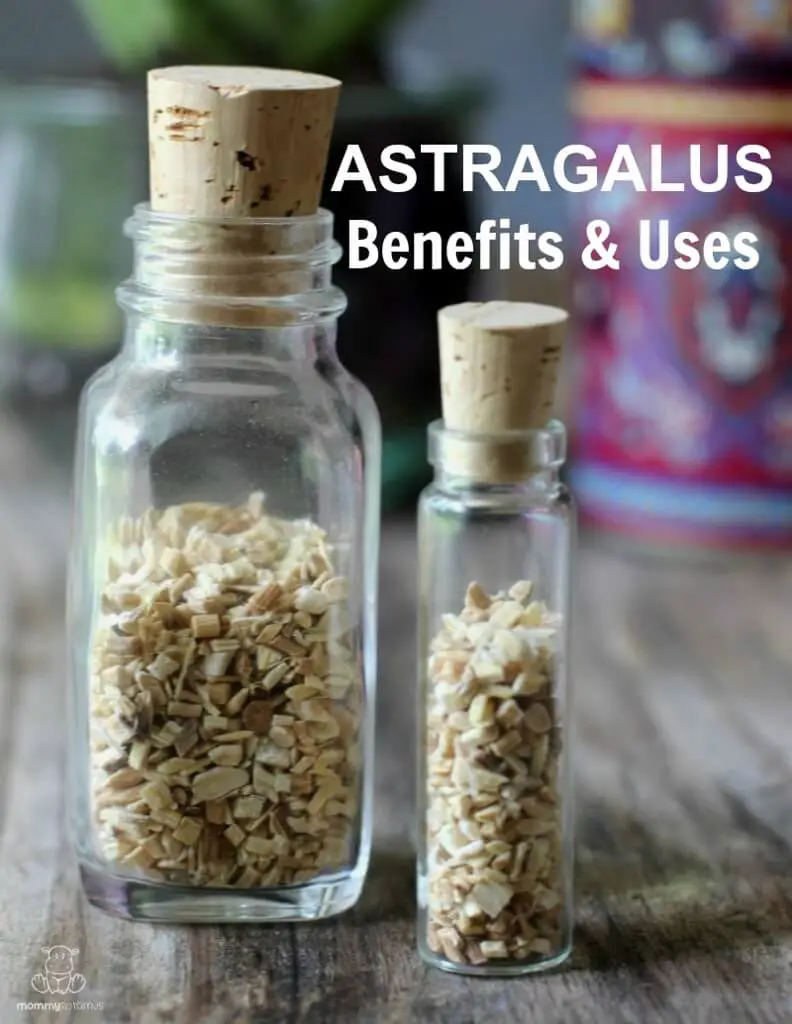 Astragalus Root for Hormone Balance and Immune Support