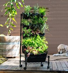 Build Hanging Gutter Garden Planter Stand DIY Project
