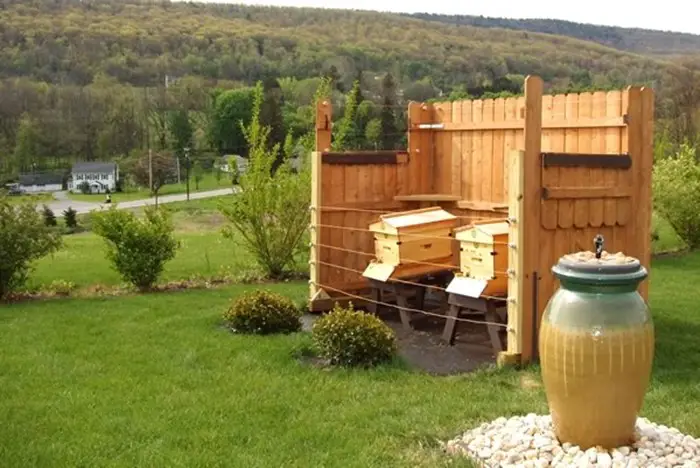 Beekeeping Tips Learning to be a Good Neighbor