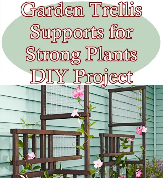 Garden Trellis Supports for Strong Plants DIY Project