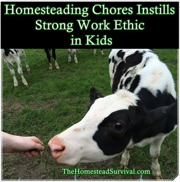 Homesteading Chores Instills Strong Work Ethic in Kids