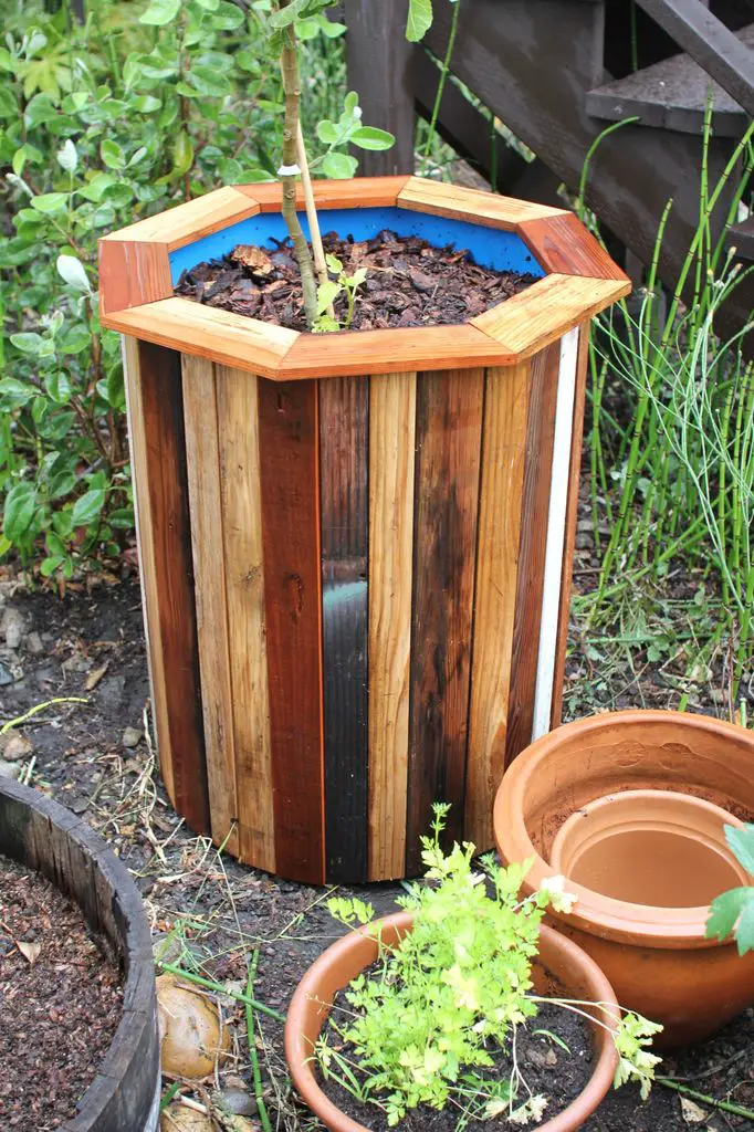 How to Convert a 55 Gal Water Drum into a Planter