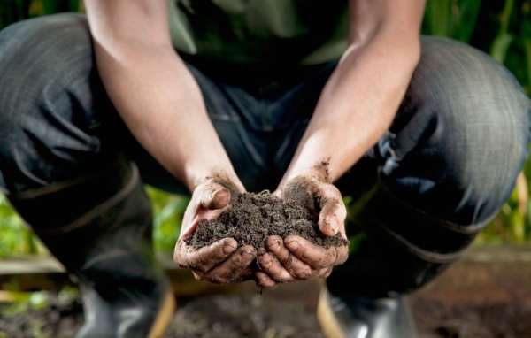 How to Make Your Own Homemade Potting Soil