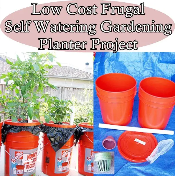 Low Cost Frugal Self Watering Gardening Planter Project