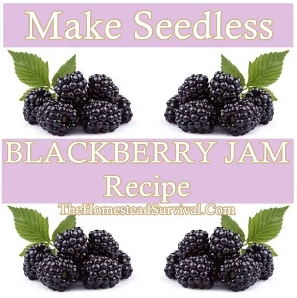 Make Seedless BLACKBERRY JAM Recipe