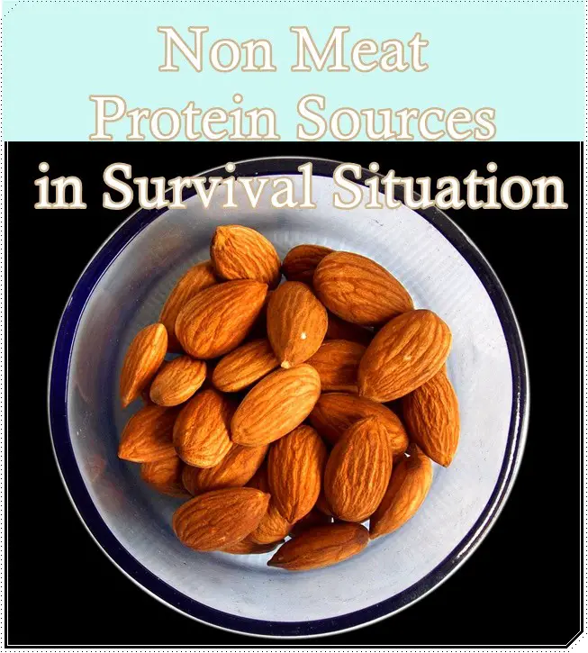 Non Meat Protein Sources in Survival Situation