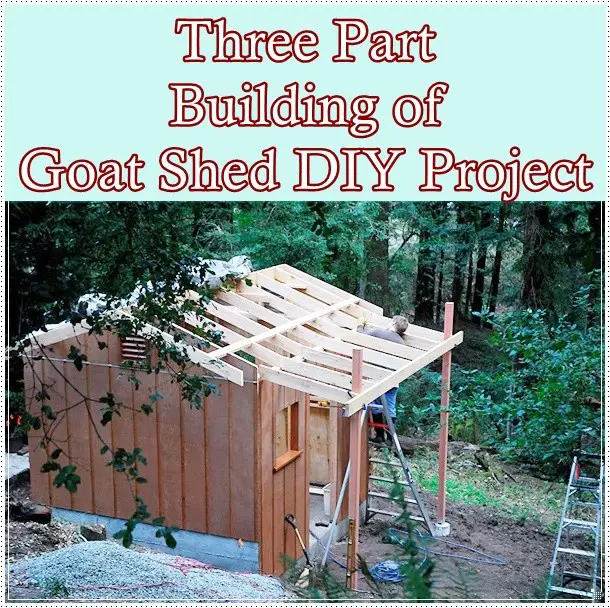 Three Part Building of Goat Shed DIY Project