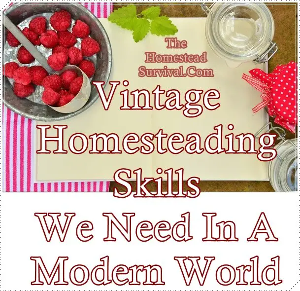 Vintage Homesteading Skills We Need In A Modern World 