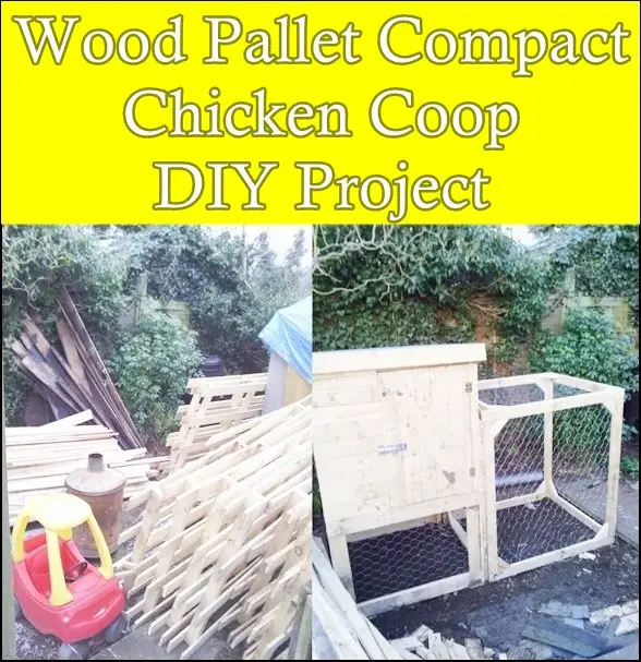 Wood Pallet Compact Chicken Coop DIY Project