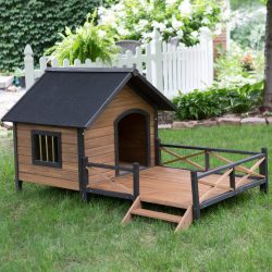 Build Outdoor DOG Shaded Resting Area DIY Project