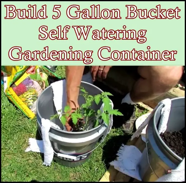 Build 5 Gallon Bucket Self Watering Gardening Container