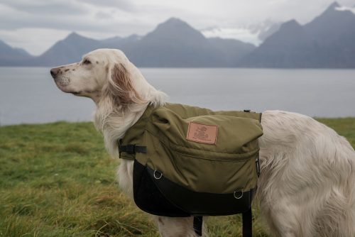 Canine Bug Out Bag