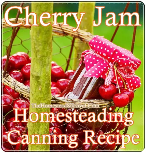 Cherry Jam Homesteading Canning Recipe