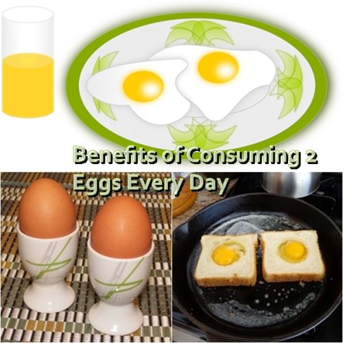 Eating Eggs Every Day Offers Many Benefits