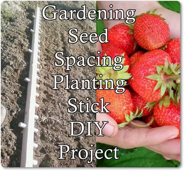 Gardening Seed Spacing Planting Stick DIY Project