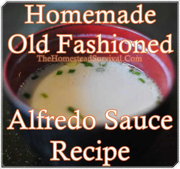 Homemade Old Fashioned Alfredo Sauce Recipe 