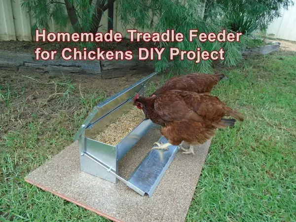 Homemade Treadle Feeder for Chickens DIY Project