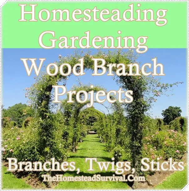 Homesteading Gardening Wood Branch Projects