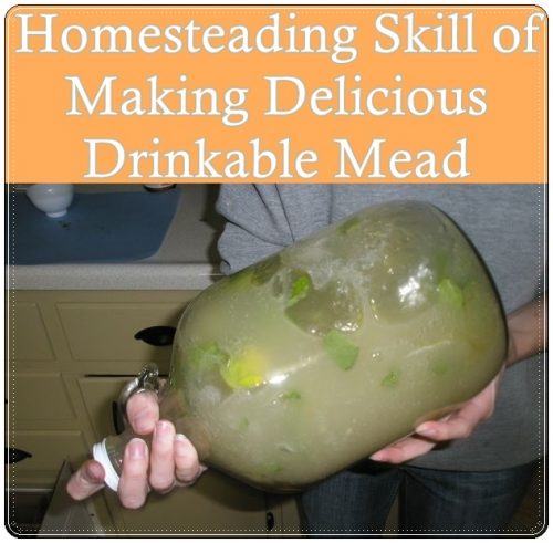 Homesteading Skill of Making Delicious Drinkable Mead