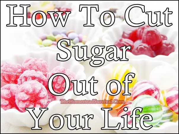 How To Cut Sugar Out of Your Life