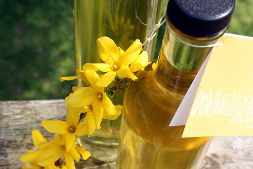 How To Make Forsythia Syrup 