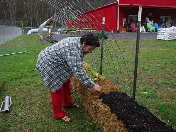 How To Set Up Hay Bale Homesteading Garden