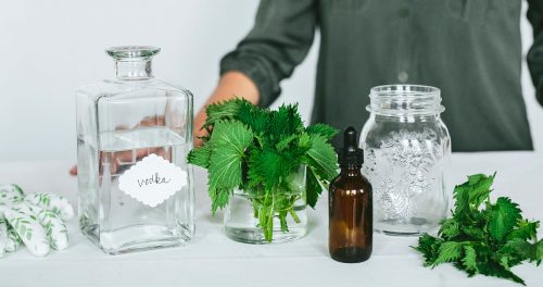 Learn Process of Making Healing Tincture Recipe